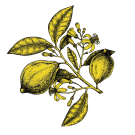 An illustration of a lemon plant with a yellow tint over it all