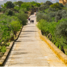 An old stone road through the italian countryside flanked with trees