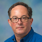 Professor Department of Political Science